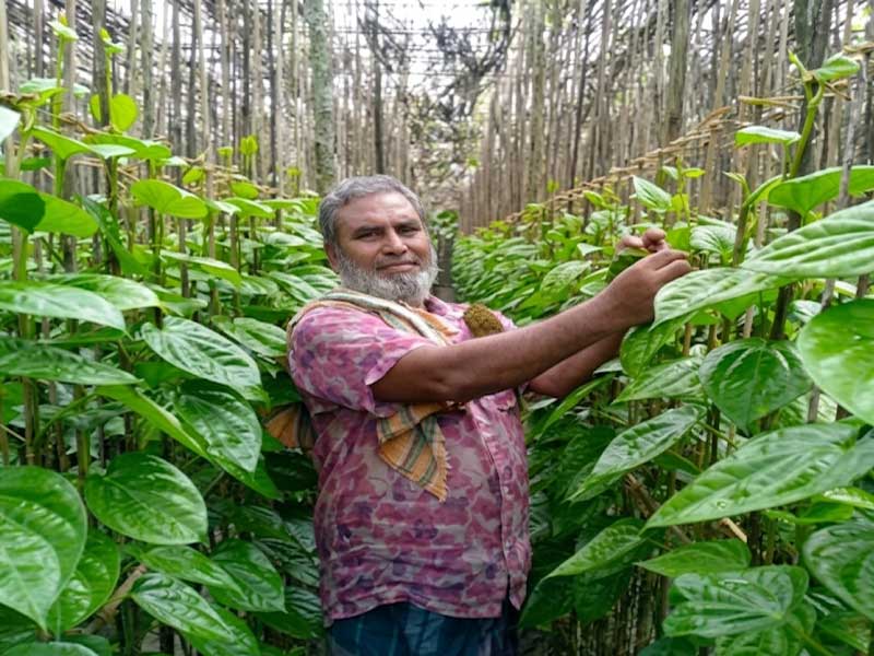 Agriculture loan program