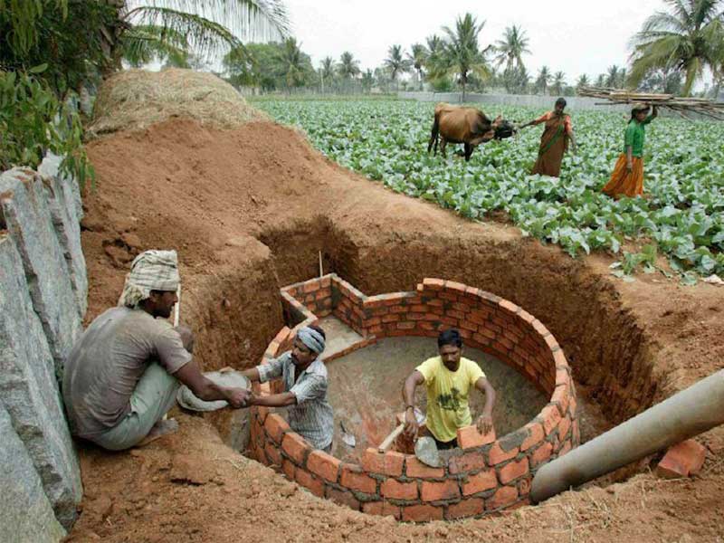 Integrated cow rearing & biogas plant