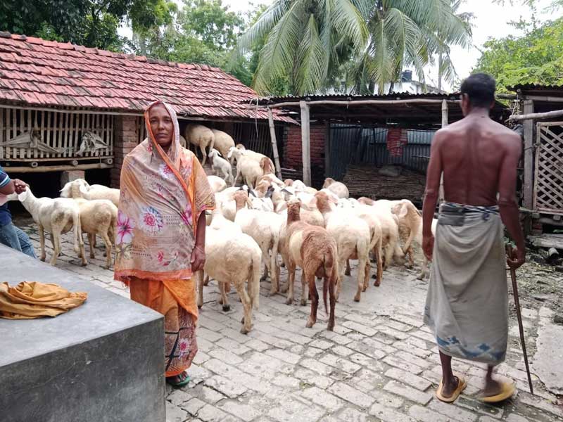 Poverty alleviation credit program